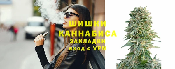 шишки Снежногорск