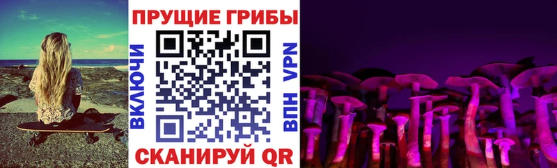 Псилоцибиновые грибы мицелий гидра ТОР Энем