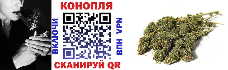 Бошки Шишки сатива Энем
